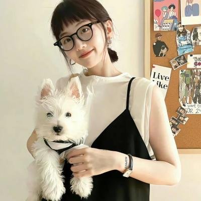 合子异种